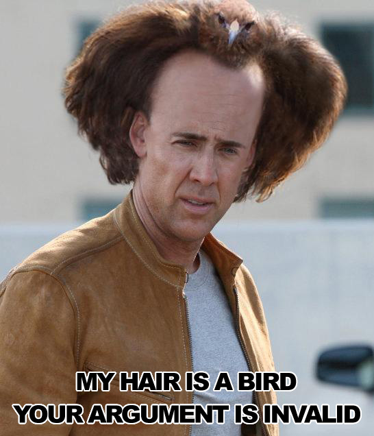 my-hair-is-a-bird-argument-invalid.jpg