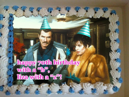 liza minnelli 70th birthday cake rent a cop